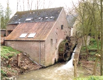 Foto van Moldergemmolen<br />Maldergemmolen<br />Mechelse Koekoek, Sint-Denijs-Boekel (Zwalm), Foto: Jean-Paul Vingerhoed | Database Belgische molens