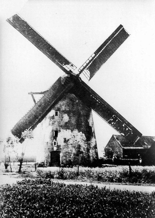 Nieuwe Molen, Molen Van der Cleyen, Hauwaertmolen