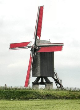 Foto van Molen van Wannegem<br />Grote Molen<br />Houtavemolen<br />Schietsjampettermolen, Wannegem-Lede (Kruishoutem), Foto: Donald Vandenbulcke, Staden  | Database Belgische molens