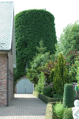 Weiveldmolen, Molen De Decker