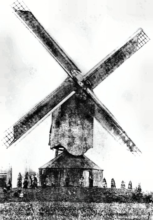 Molen van Begijnendijk, Molen Tielemans