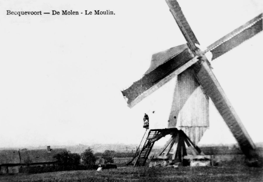 Windmolen van Bekkevoort, Molen Maes