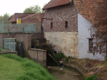 Foto van <p>Molen van Halmaal<br />Maasrodemolen</p>, Halle-Booienhoven (Zoutleeuw), Verzameling Ons Molenheem | Database Belgische molens