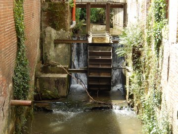 Foto van <p>Kwade Molen<br />Kwademolen</p>, Boutersem, Foto: Jos Hubin, 20.06.2014 | Database Belgische molens