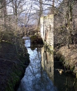 Foto van <p>Duivenmolen<br />Taufmolen<br />Molen van Nolekens</p>, Diegem (Machelen), Foto: Tijl Vereenooghe, 06.01.2008 | Database Belgische molens