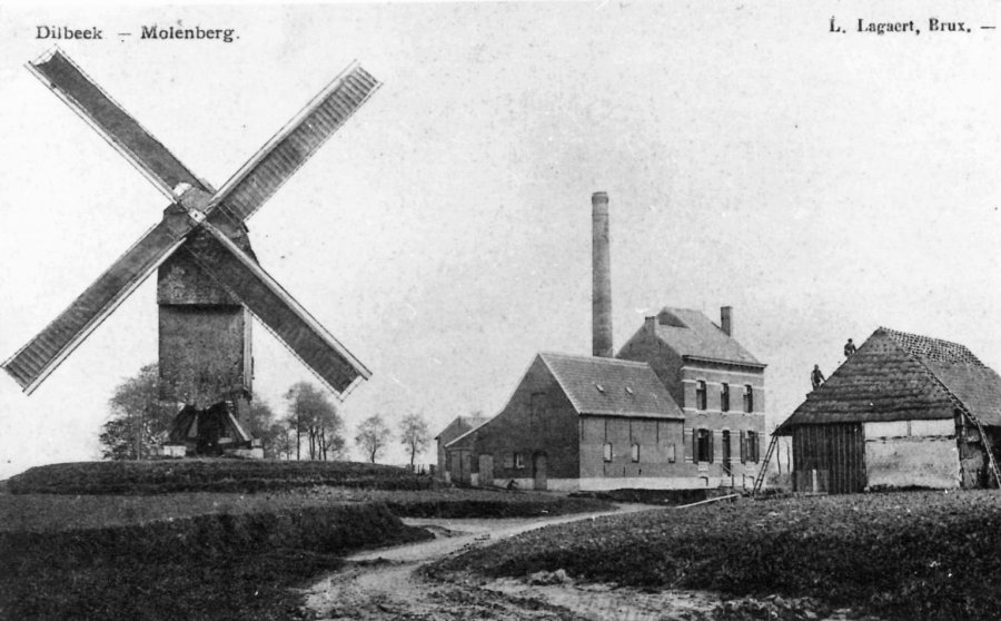 Dilbeekmolen, Molen van de Molenberg