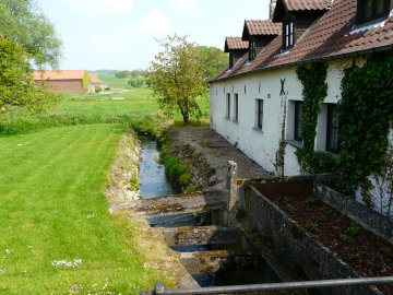 Foto van <p>Terhagenmolen<br />Watermolen van Terhagen</p>, Gooik, Foto: Stan Verelst, Edegem, 01.05.2009 | Database Belgische molens