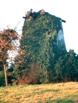 Foto van <p>Nieuwe Molen<br />Molen De Vis</p>, Hekelgem (Affligem), Foto: Lieven Denewet | Database Belgische molens