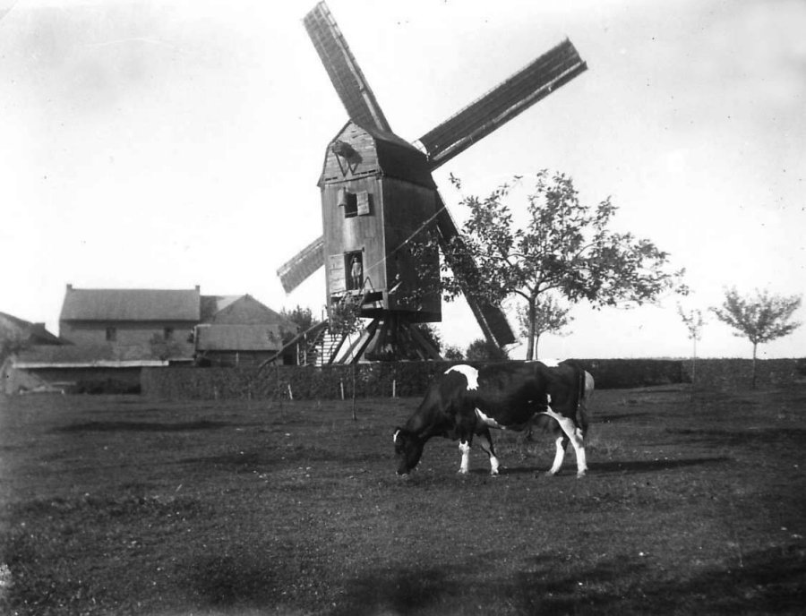 Molen Vanderwaeren, Windmolen van Miskom