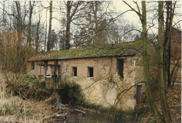 Kasteelmolen, Watermolen van Leefdaal