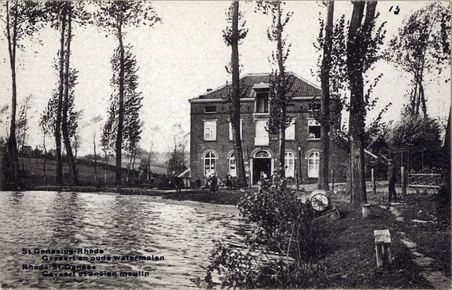 Molen aan de Gevaertvijver, Korenmolen, Nieuwe Molen