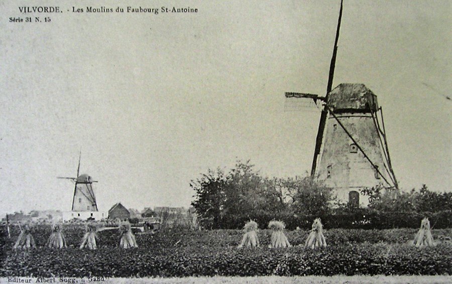 Zoontjes Molen Molen Peersman