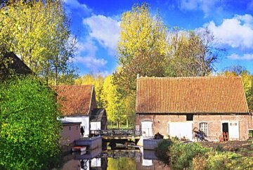 Foto van <p>Wielantmolen</p>, Tollembeek (Galmaarden), Foto: Yvan Decoster | Database Belgische molens