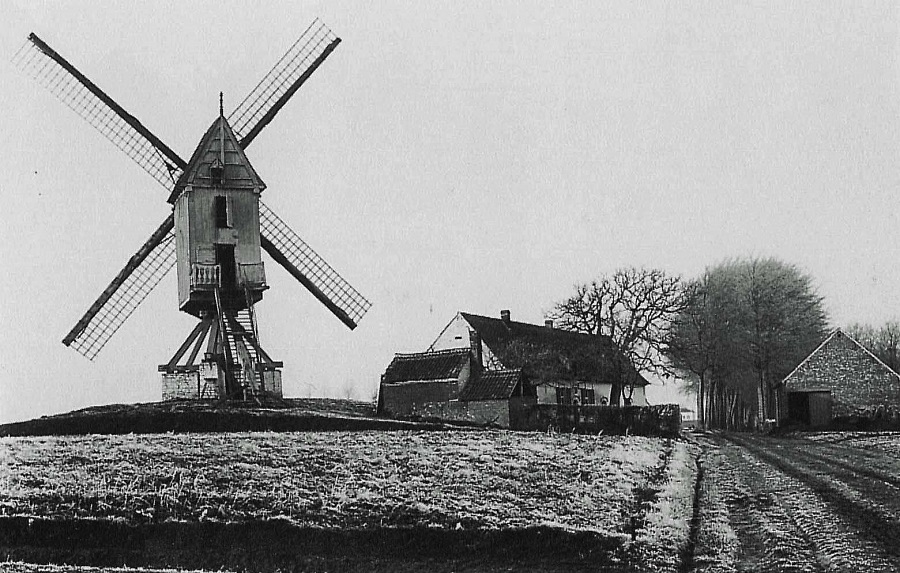 's Gravenmolen, Molen van Releghem