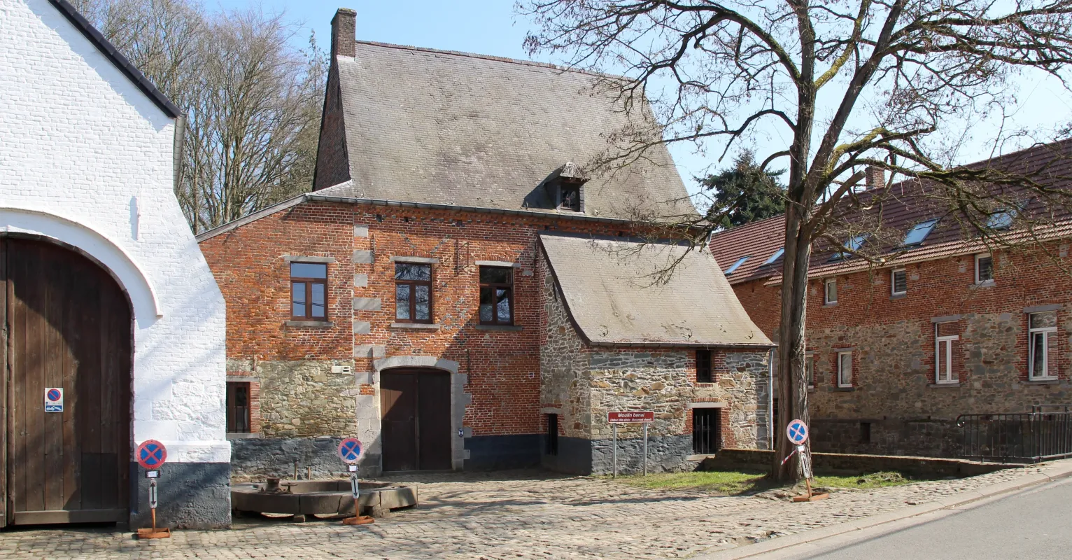Vieux Moulin, Moulin du Château, Moulin banal