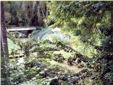 Le Maka, Moulin du Maka, Moulin Baugniet, Usines Baugniet, Moulin des Saules