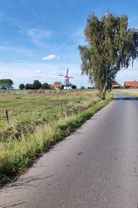 Foto 2 van Mevrouwmolen, Vrouwenmolen, Kanegem (Tielt), Jonas Van de Putte , 28.09.2025 | Database Belgische molens Mevrouwmolen, Vrouwenmolen, Kanegem (Tielt), Jonas Van de Putte , 28.09.2025 | Database Belgische molens