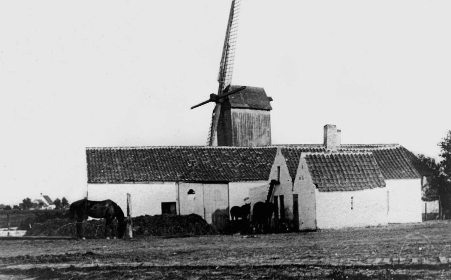 Kruisabelemolen, Kruysemolen, Kruisemolen, Molen Danneels