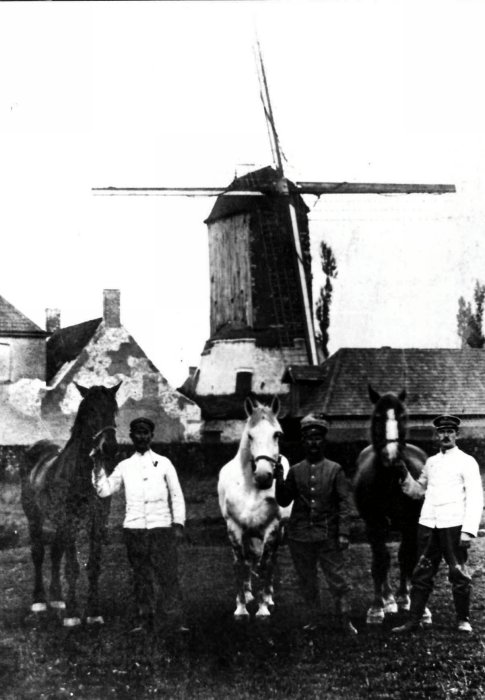 Lioens molen, Molen Lioen