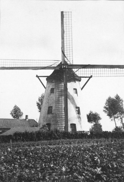 Witte Molen, Molen Allegaert, Molen Deleye