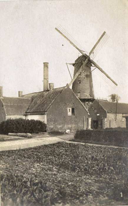 Noordmolen, Stenen Molen, Molen Termote, Molen Delbeke