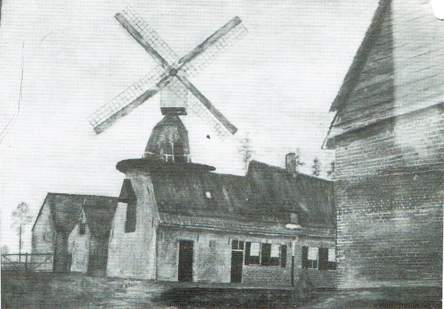 Molentje Vandenberghe, Moulin Vert