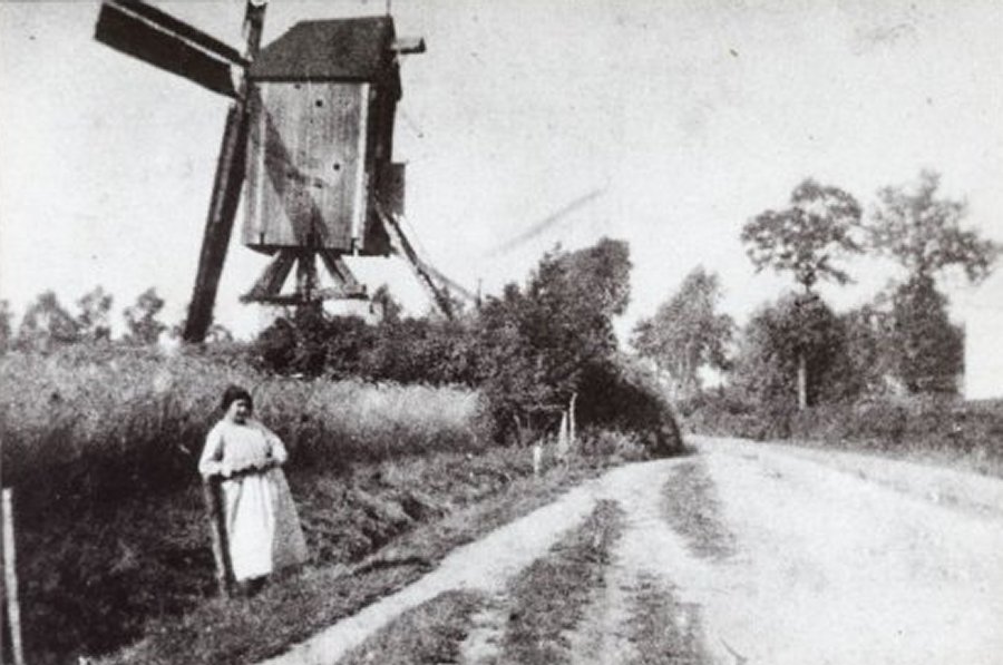 Vivenmolen, Vijvemolen, Van Haeckes molen, Molen Van Haecke