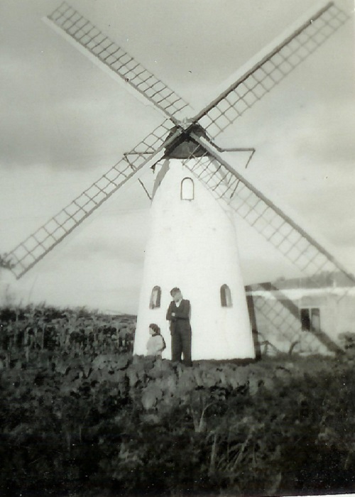 Wullaerts molentje Mostaardmolentje Wullaert