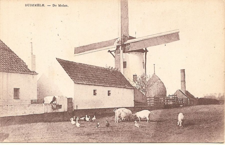 Westmolen, Dorpsmolen, Grote Molen, Proots molen