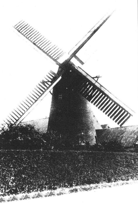 Lepelkotmolen, Lepelputmolen, Lepelaersmolen, Padderiemolen, Molen Ampe