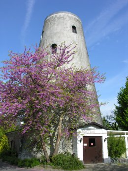 Foto van Braetsmolen<br />Oostmolen<br />De Wieke, Oostkamp, Foto: Donald Vandenbulcke, Staden | Database Belgische molens