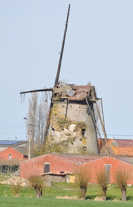 Foto van Machuutmolen<br />Margrietmolen, Pollinkhove (Lo-Reninge), Foto: Donald Vandenbulcke, Staden, 10.04.2016 | Database Belgische molens