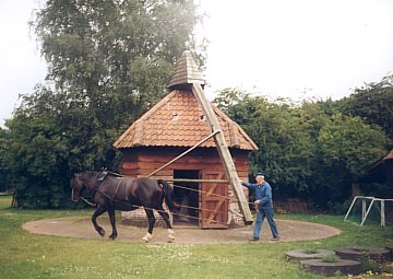 Rosmolen aan de Trutselaar