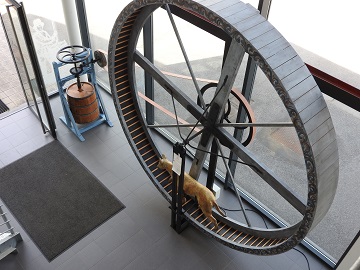 Hondenmolen van het Zuivelmuseum