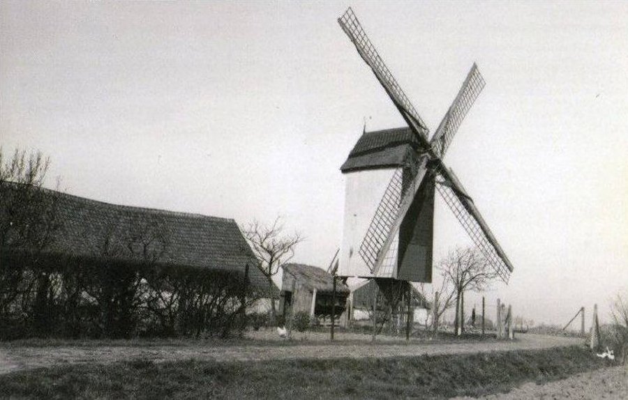 Dorpsmolen Vijfwegemolen Molen Maelfeyt