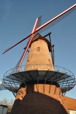 Foto van Goethalsmolen<br />Molen De Borchgrave<br />Molen D'Hondt, Wakken (Dentergem), Foto: Donald Vandenbulcke, Staden, 08.12.2012 | Database Belgische molens