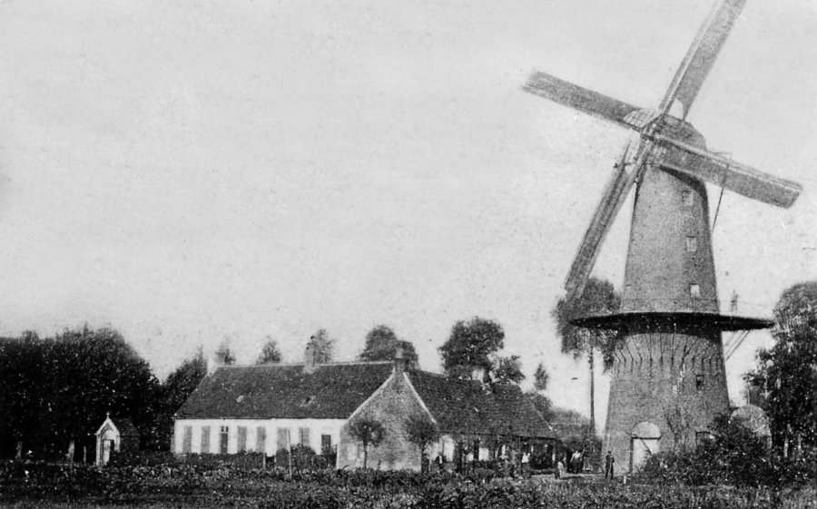 Roonemolen, Blankaartmolen, Molen Eduwaere