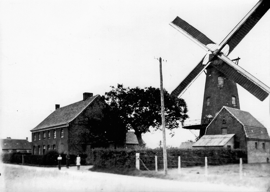 Meiboommolen, Reynaertsmolen, Molen Reynaert, Molen Vanrenterghem